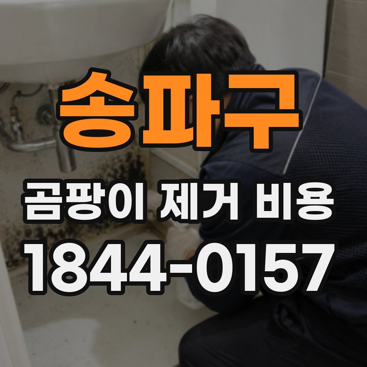 송파구 곰팡이 제거 비용