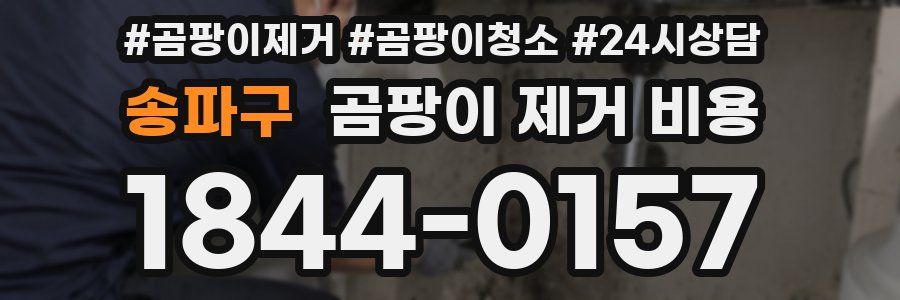 송파구 곰팡이 제거 비용