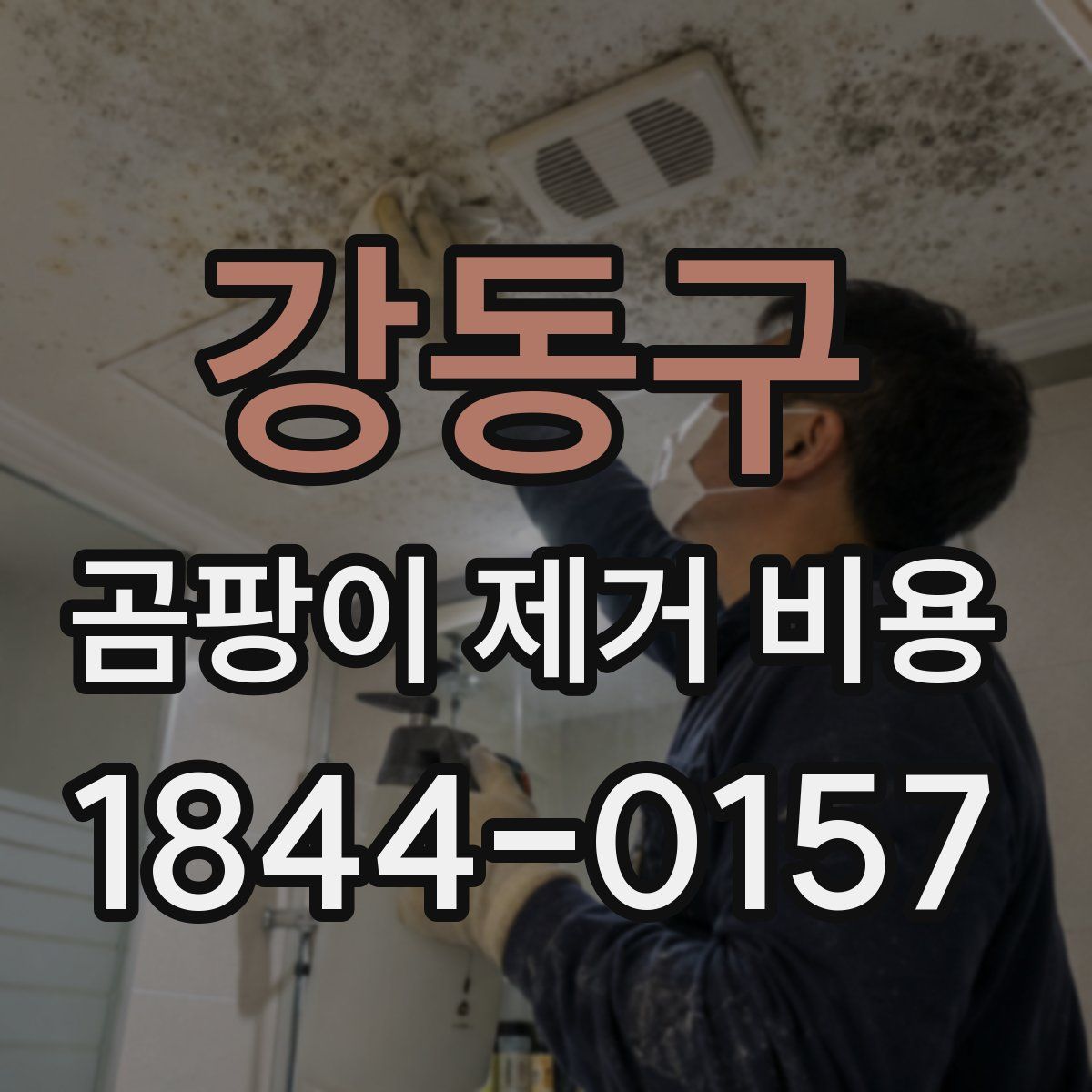 강동구 곰팡이 제거 비용