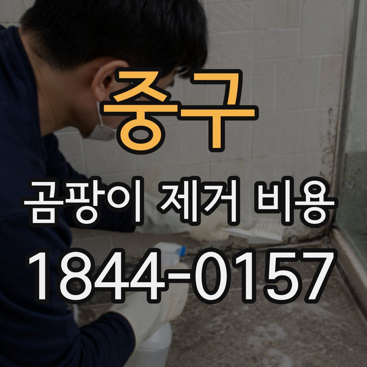 중구 곰팡이 제거 비용