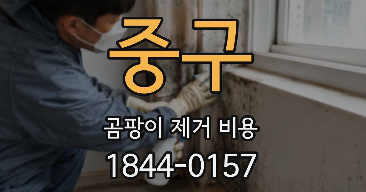 중구 곰팡이 제거 비용