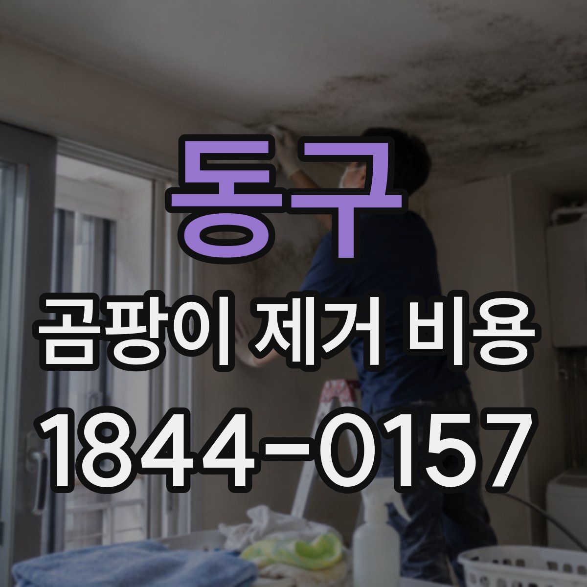 동구 곰팡이 제거 비용