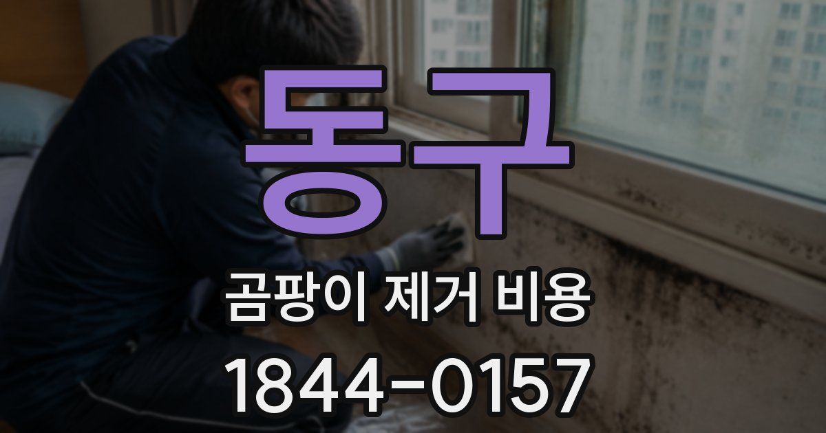 동구 곰팡이 제거 비용