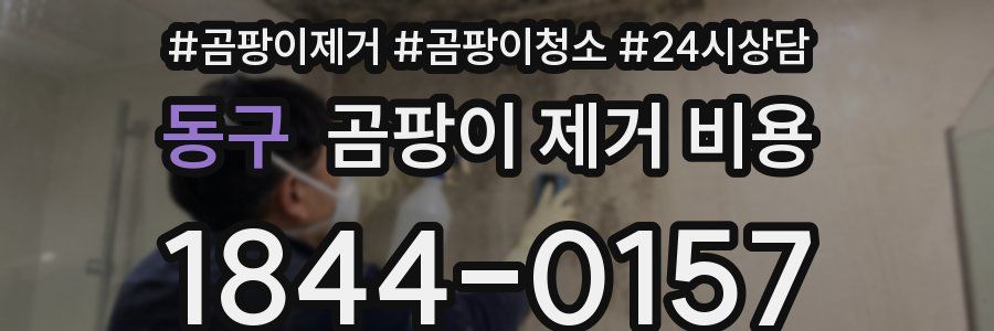 동구 곰팡이 제거 비용