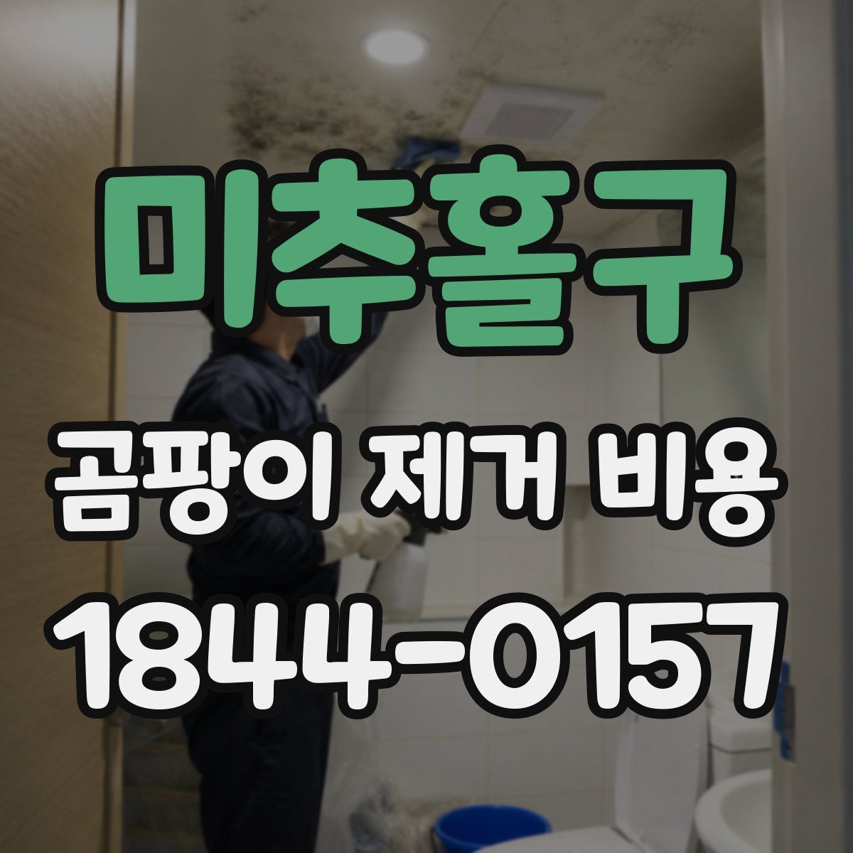 미추홀구 곰팡이 제거 비용