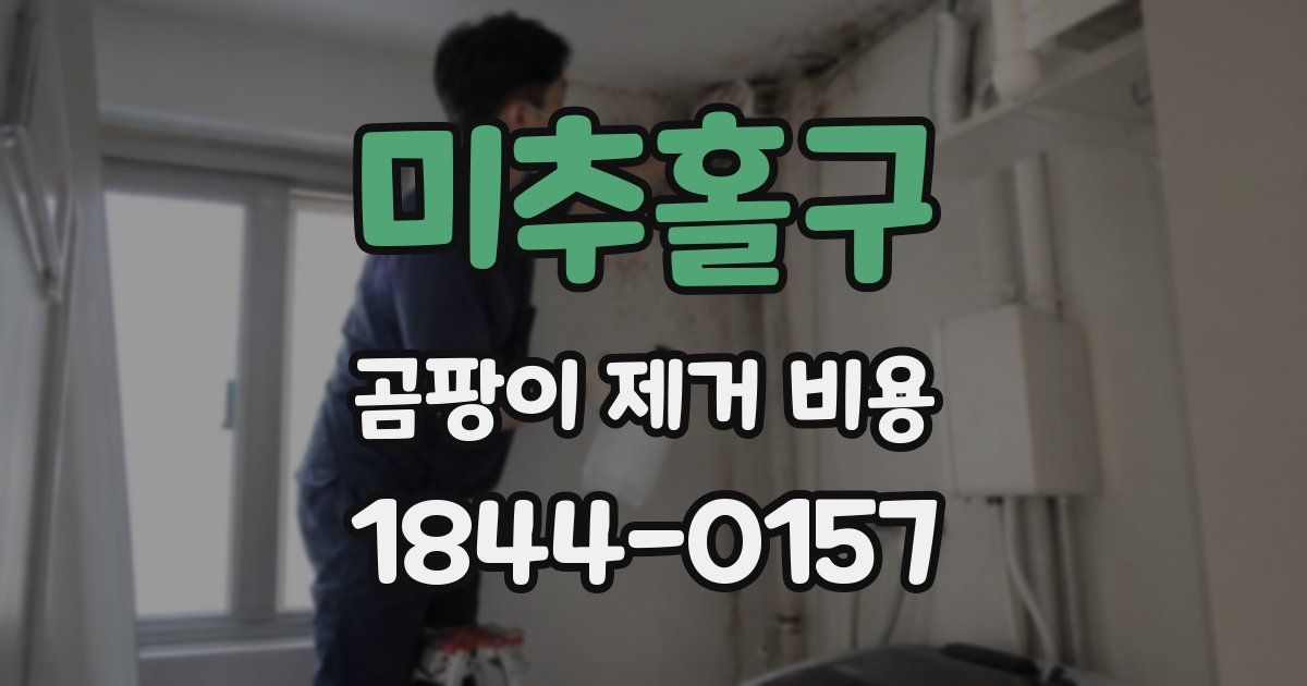 미추홀구 곰팡이 제거 비용