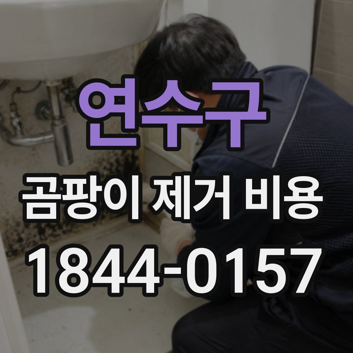 연수구 곰팡이 제거 비용 욕실과 거실은 처리 기준이 왜 다를까