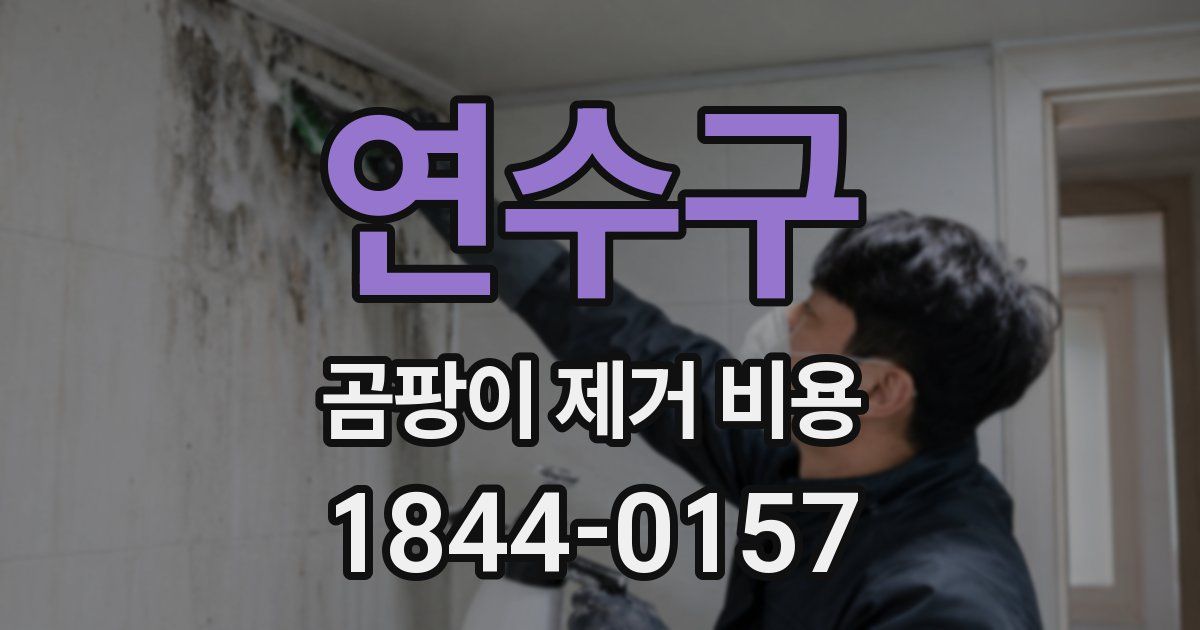 연수구 곰팡이 제거 비용