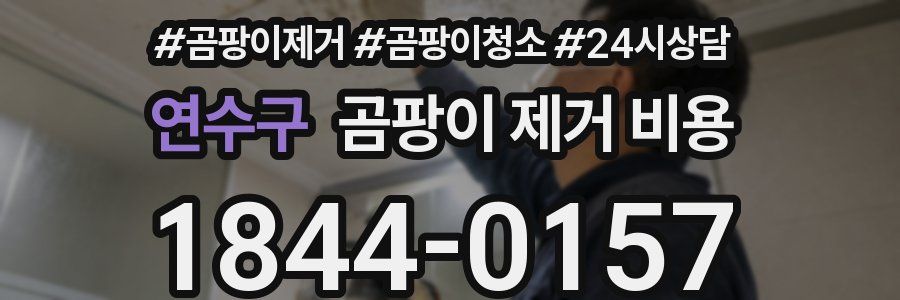 연수구 곰팡이 제거 비용