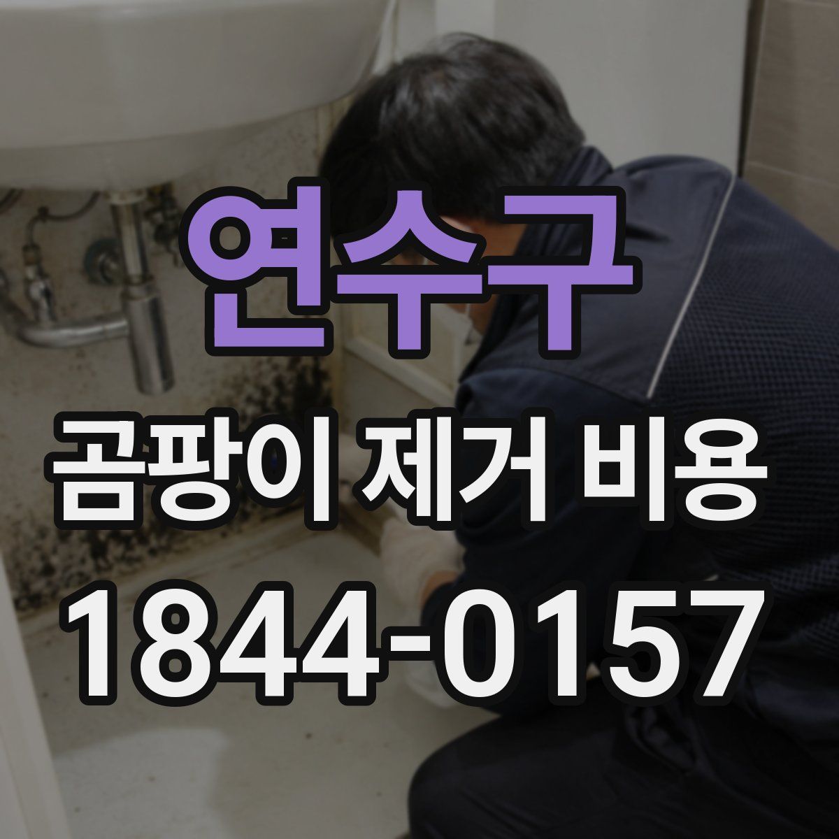 연수구 곰팡이 제거 비용