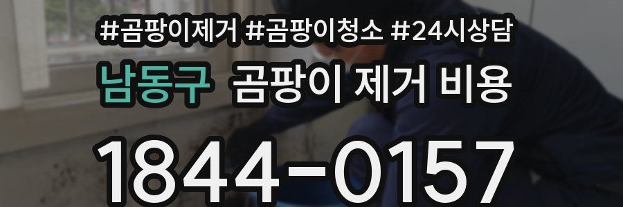 남동구 곰팡이 제거 비용