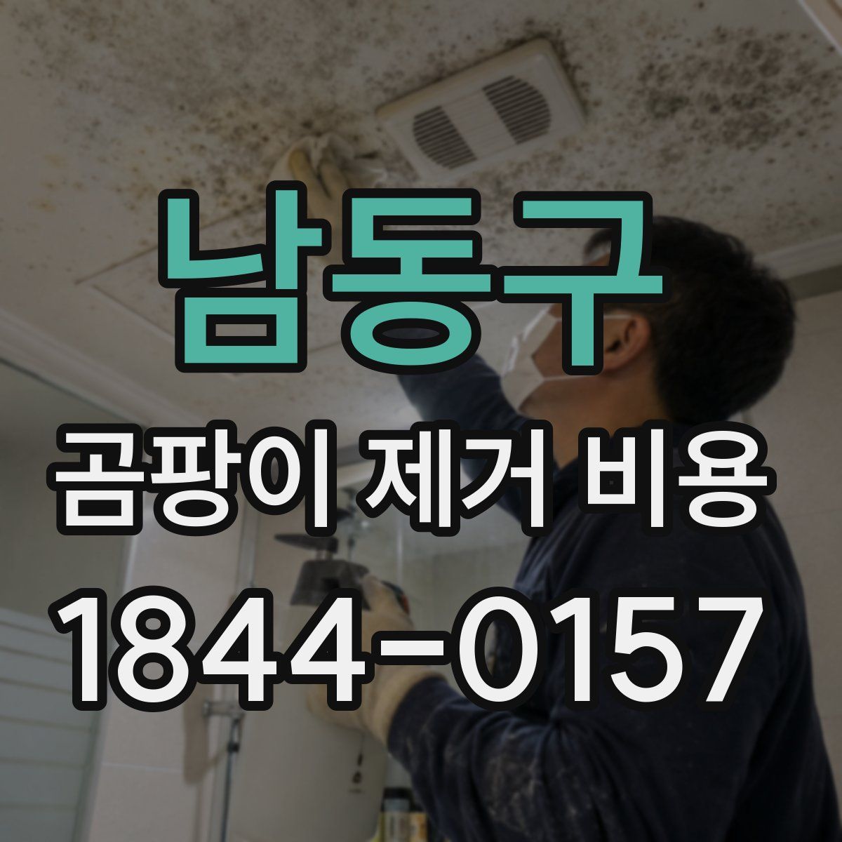 남동구 곰팡이 제거 비용