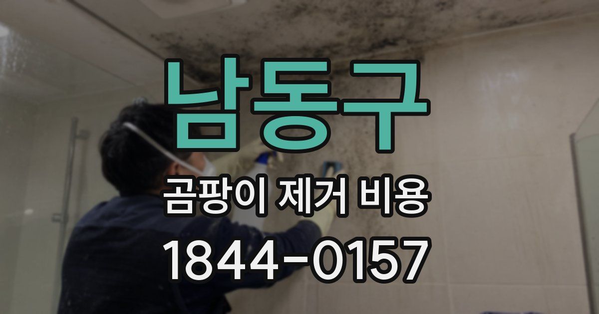 남동구 곰팡이 제거 비용