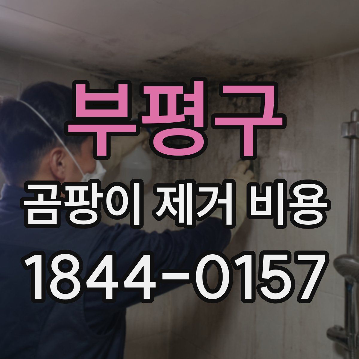 부평구 곰팡이 제거 비용