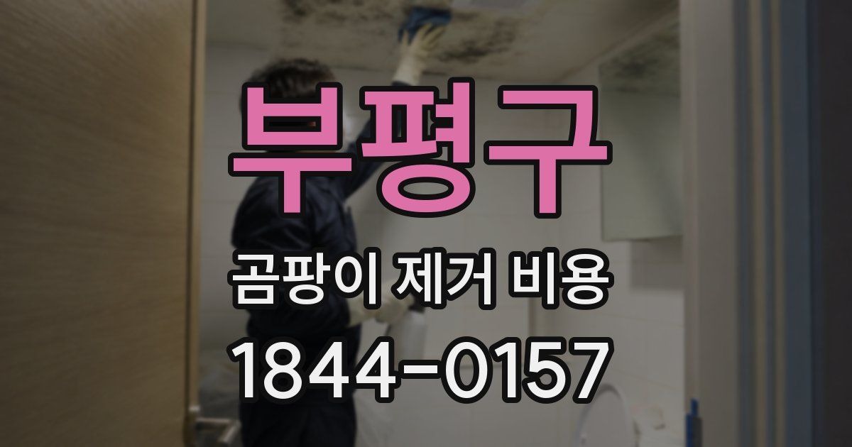 부평구 곰팡이 제거 비용