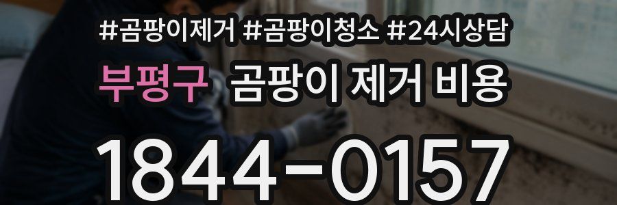 부평구 곰팡이 제거 비용