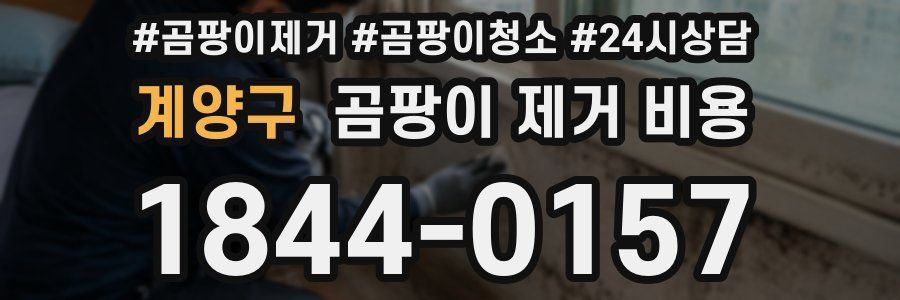 계양구 곰팡이 제거 비용