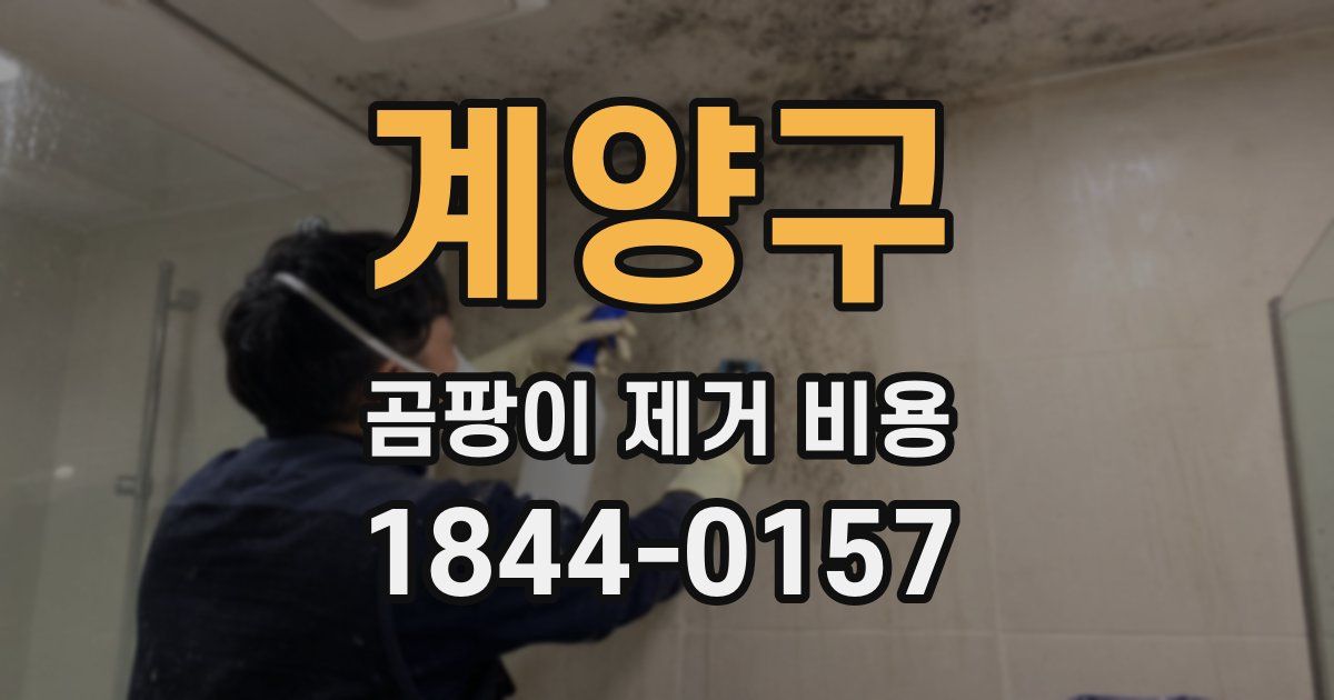 계양구 곰팡이 제거 비용