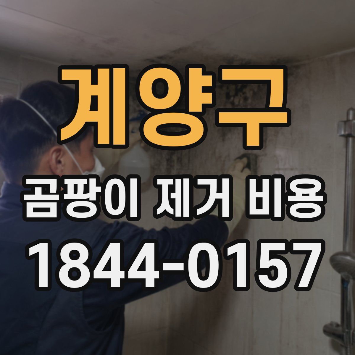 계양구 곰팡이 제거 비용