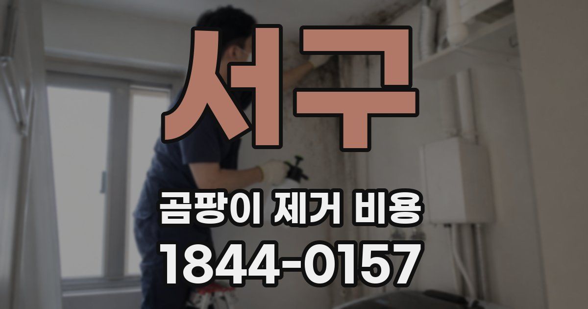 서구 곰팡이 제거 비용