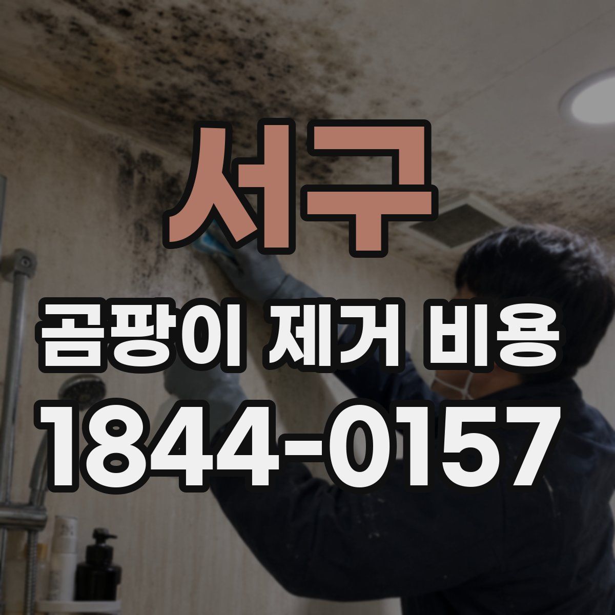 서구 곰팡이 제거 비용