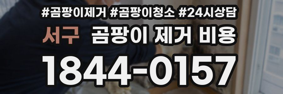 서구 곰팡이 제거 비용