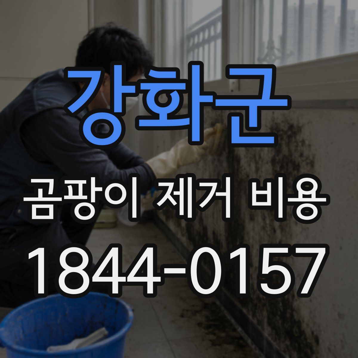 강화군 곰팡이 제거 비용