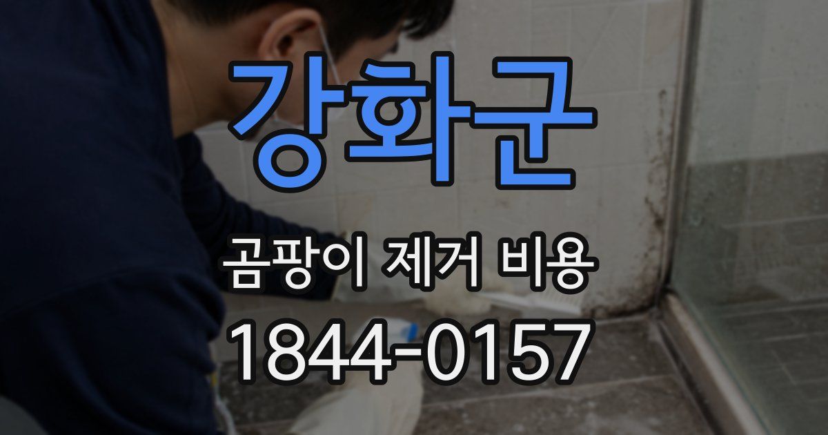 강화군 곰팡이 제거 비용