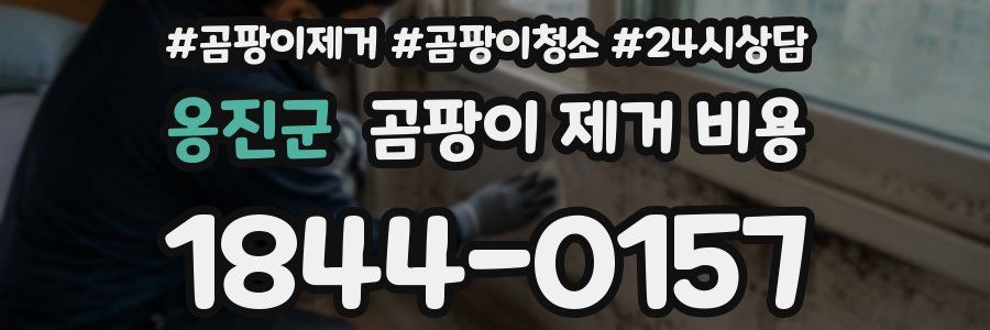 옹진군 곰팡이 제거 비용