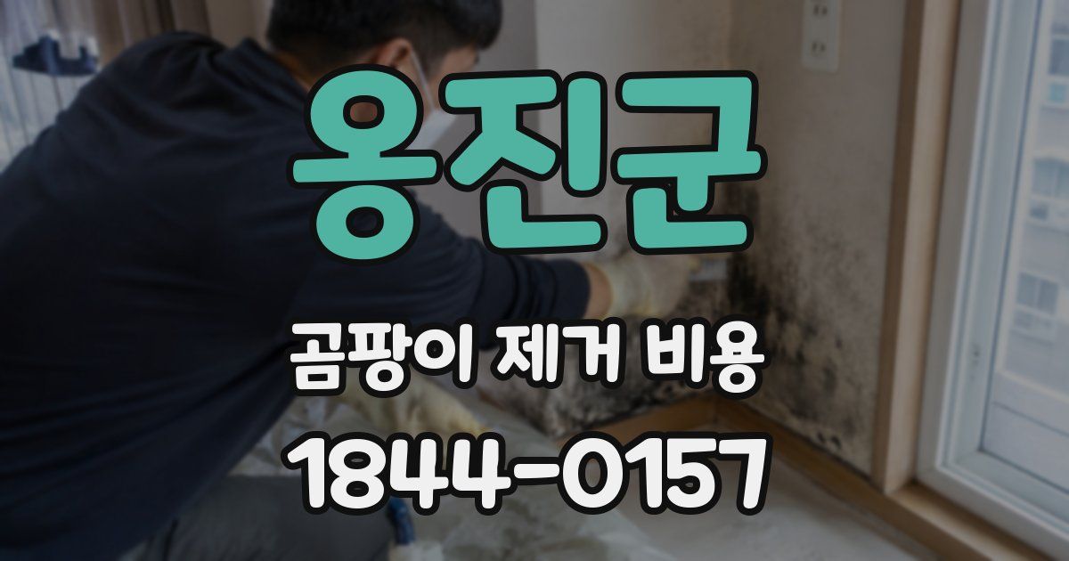 옹진군 곰팡이 제거 비용