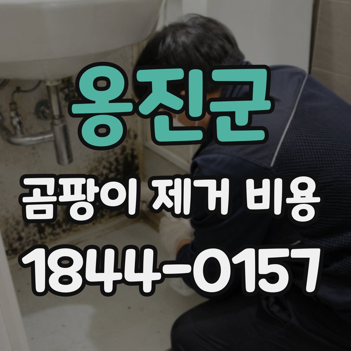옹진군 곰팡이 제거 비용