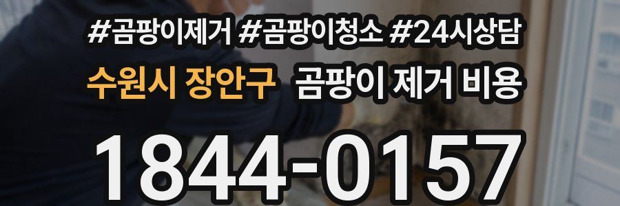 수원시 장안구 곰팡이 제거 비용