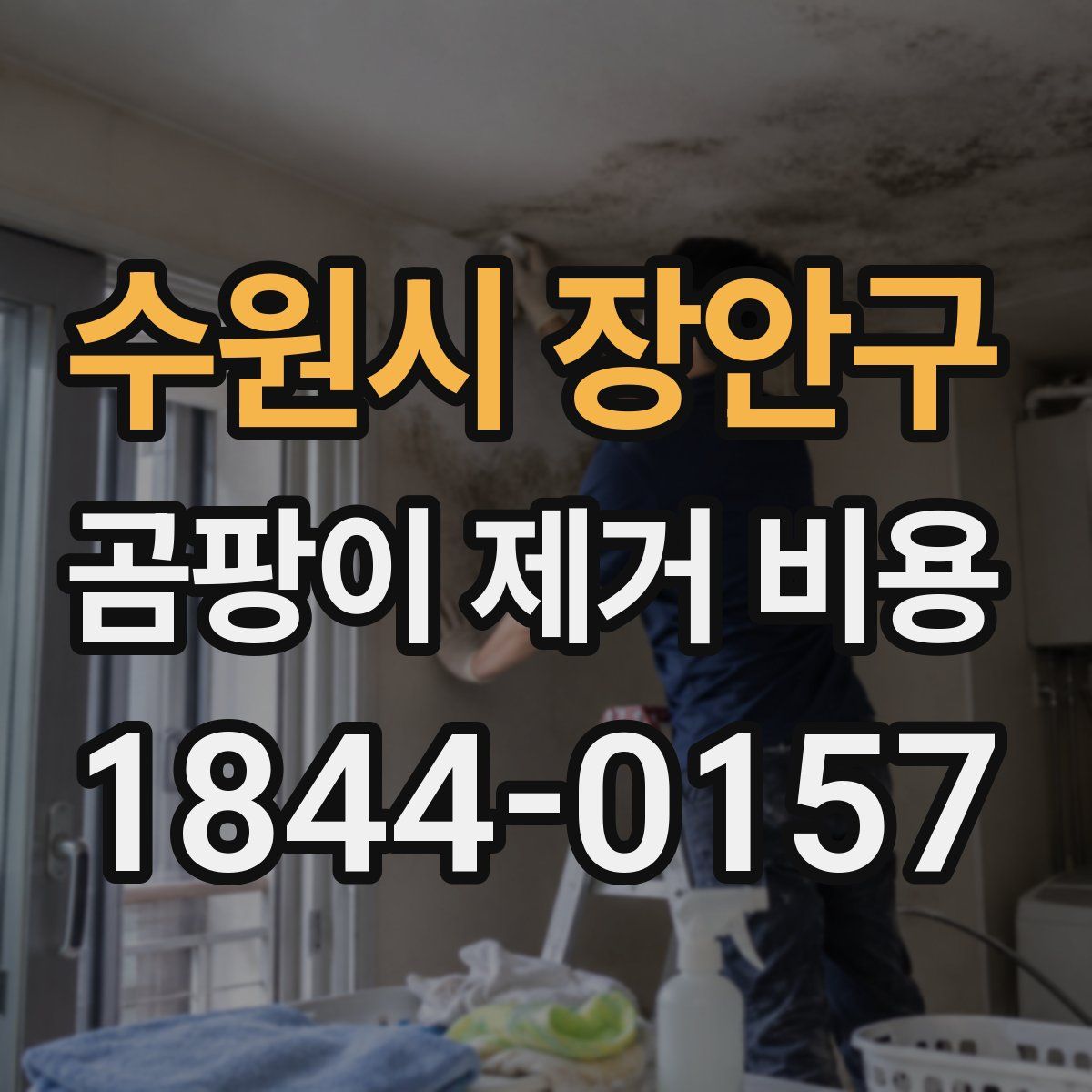 수원시 장안구 곰팡이 제거 비용
