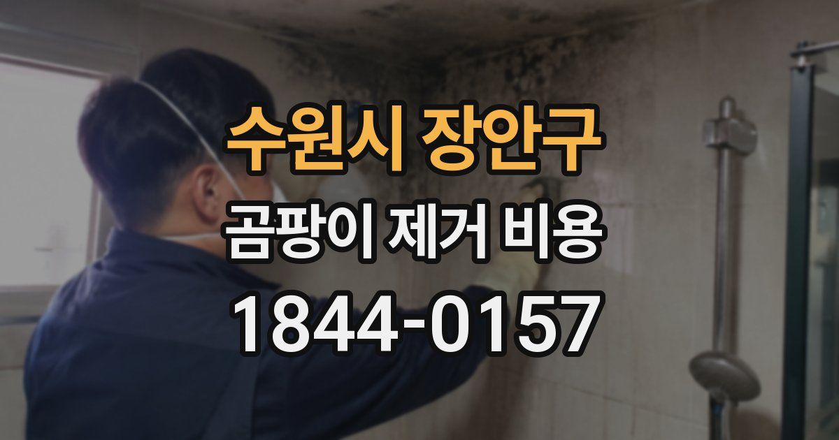 수원시 장안구 곰팡이 제거 비용