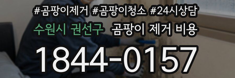 수원시 권선구 곰팡이 제거 비용