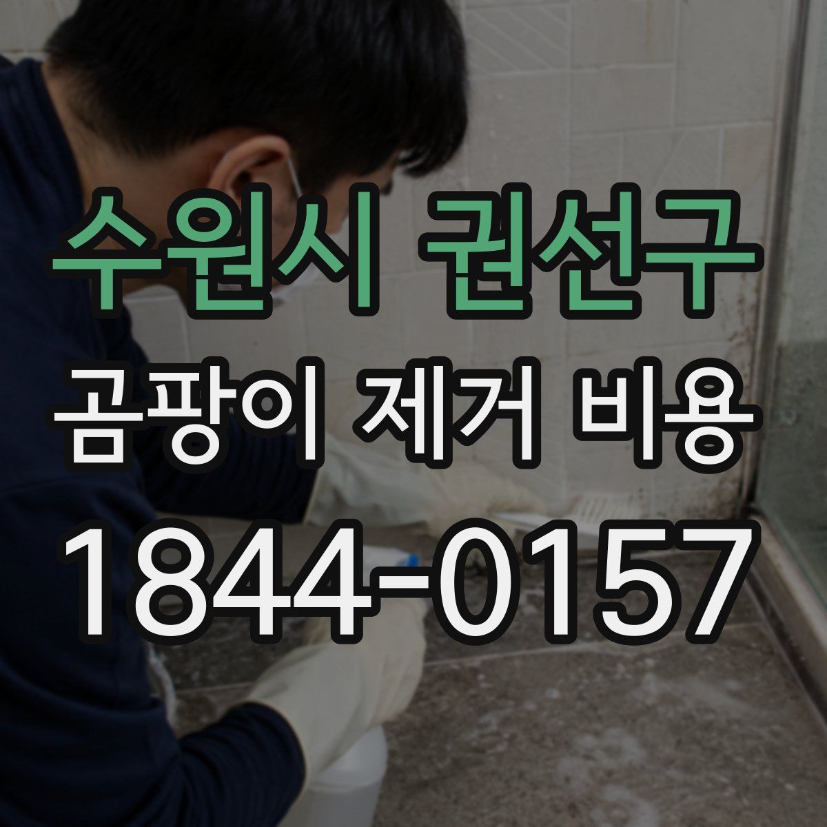 수원시 권선구 곰팡이 제거 비용