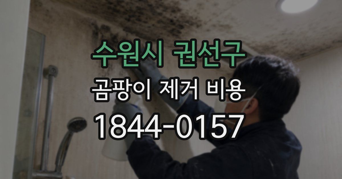 수원시 권선구 곰팡이 제거 비용