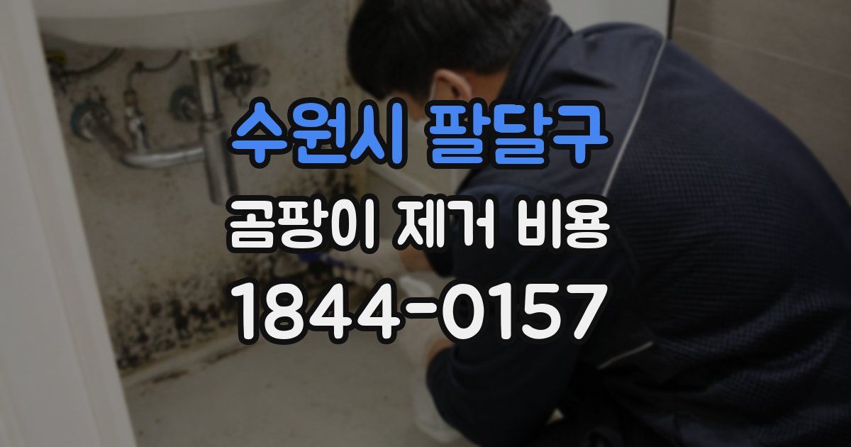 수원시 팔달구 곰팡이 제거 비용