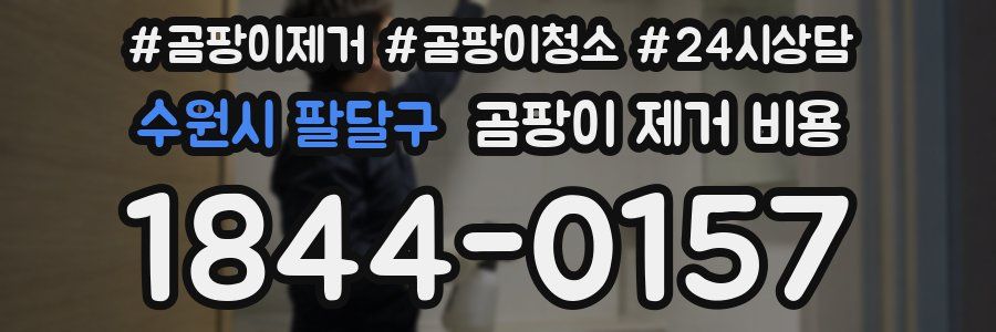 수원시 팔달구 곰팡이 제거 비용