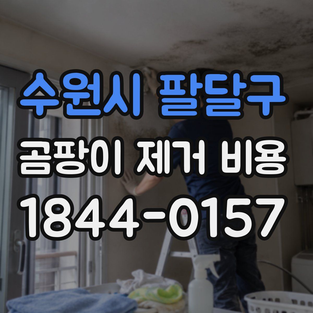 수원시 팔달구 곰팡이 제거 비용