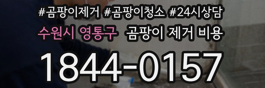 수원시 영통구 곰팡이 제거 비용