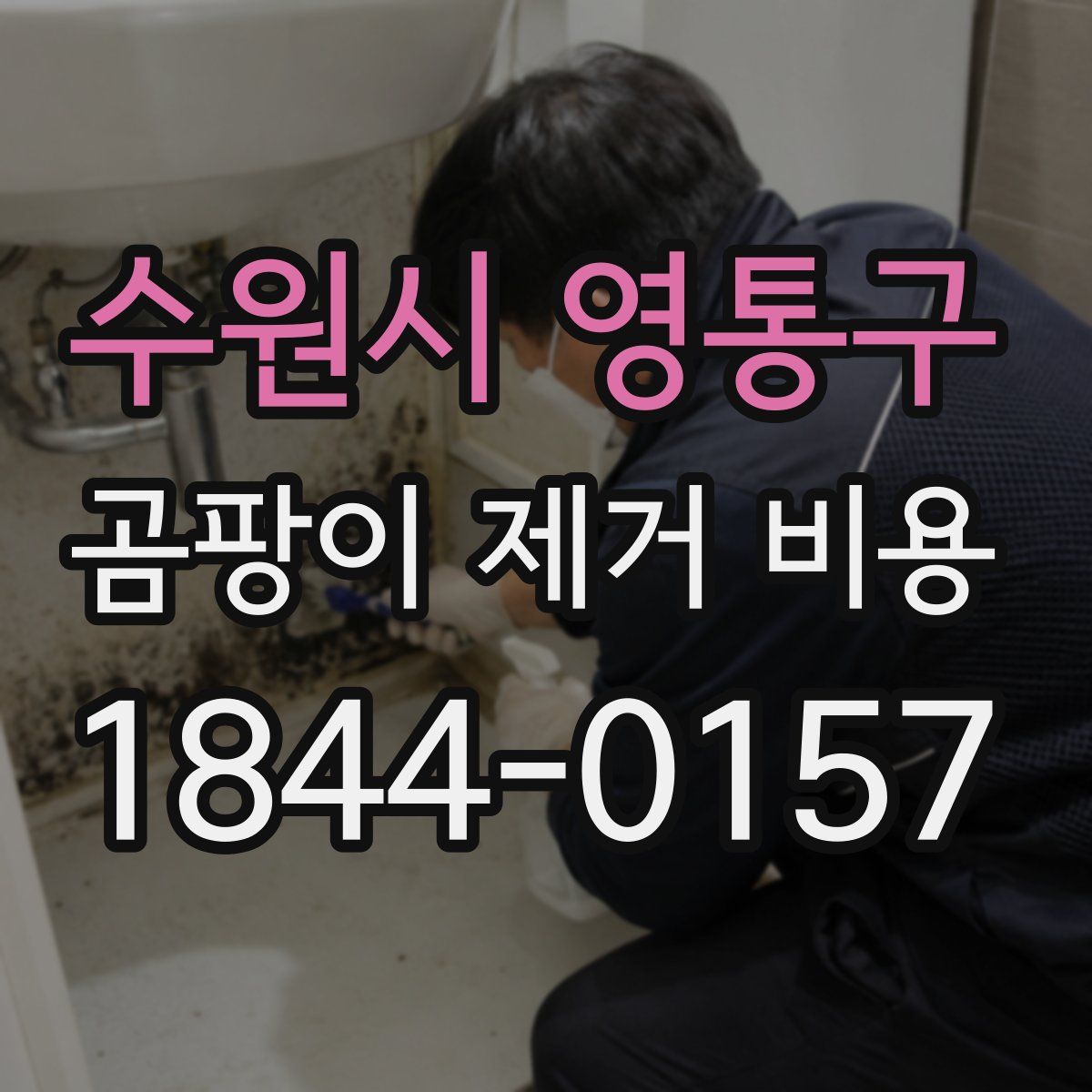 수원시 영통구 곰팡이 제거 비용