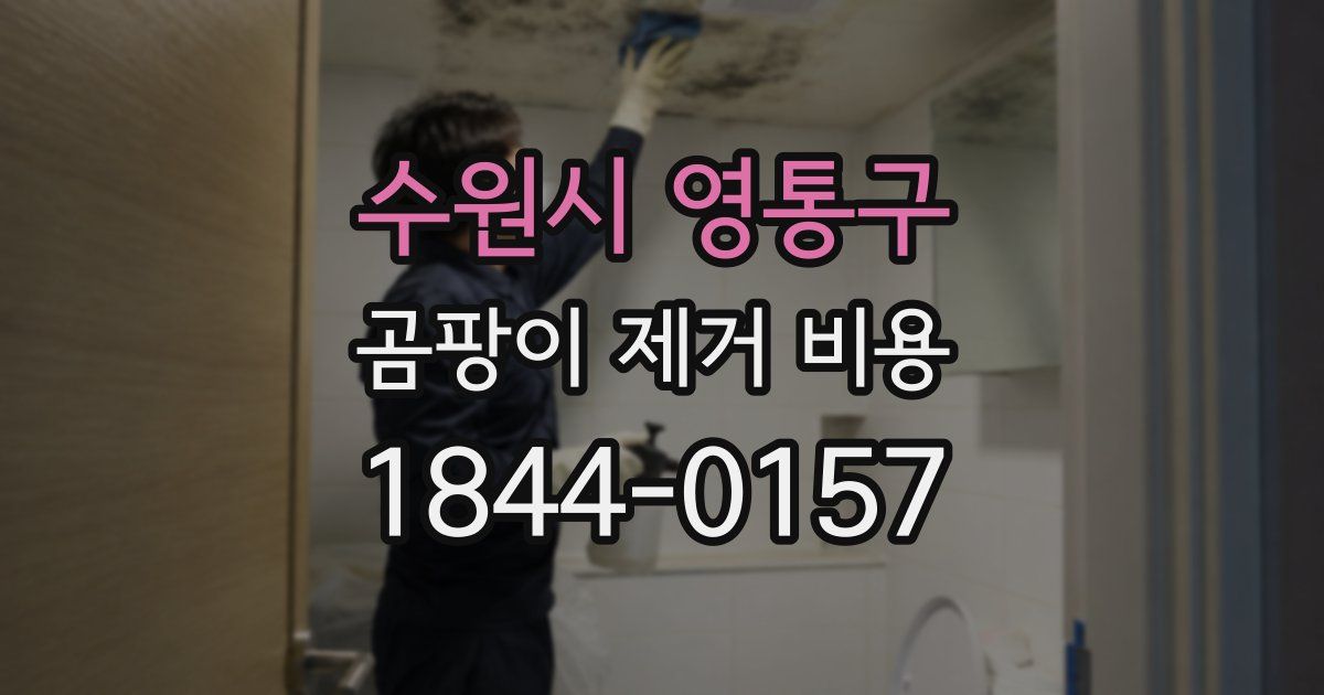 수원시 영통구 곰팡이 제거 비용