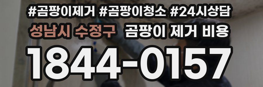 성남시 수정구 곰팡이 제거 비용
