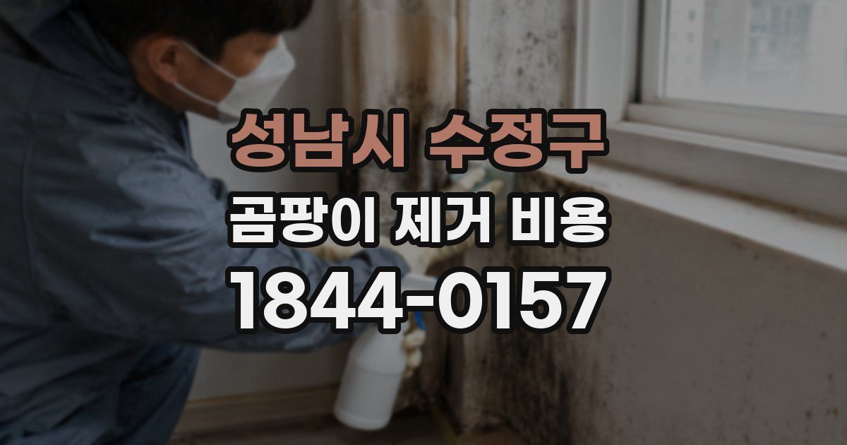 성남시 수정구 곰팡이 제거 비용