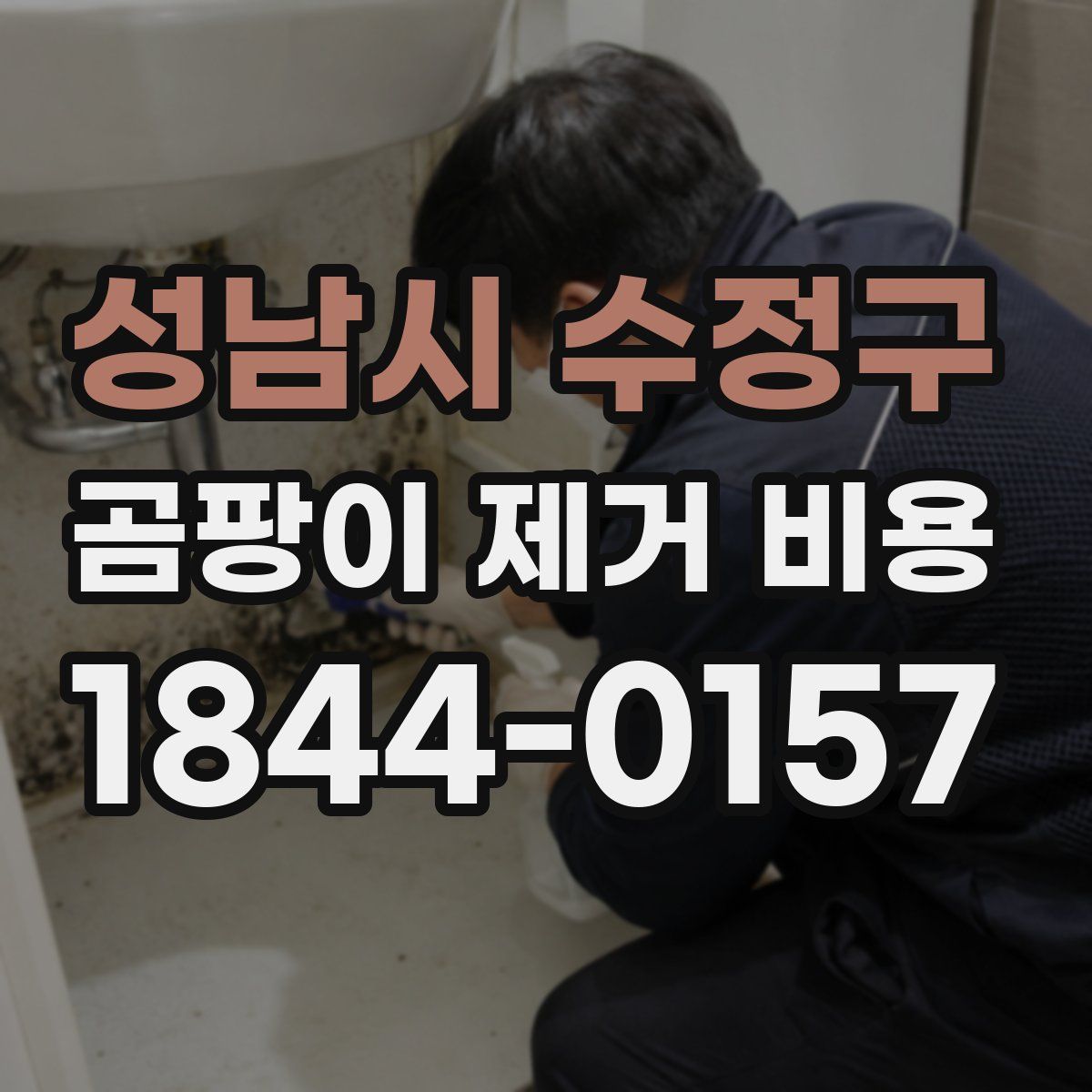 성남시 수정구 곰팡이 제거 비용