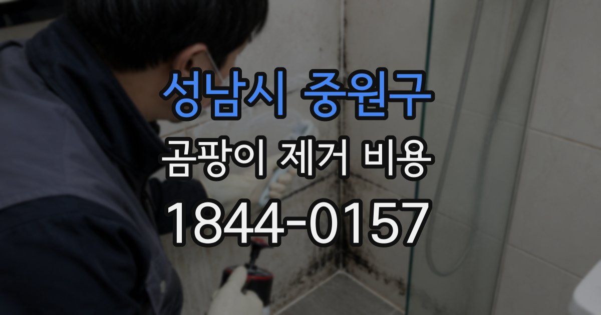 성남시 중원구 곰팡이 제거 비용