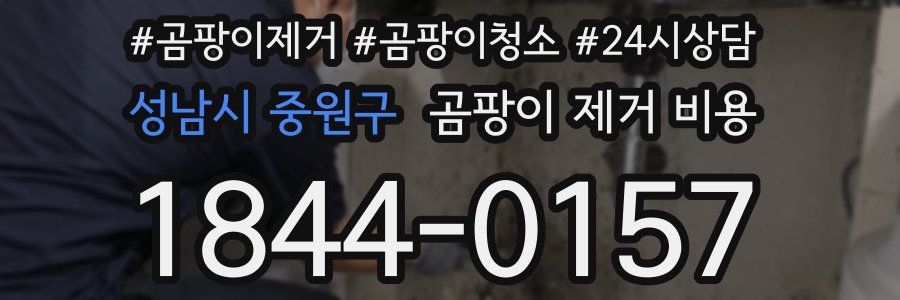 성남시 중원구 곰팡이 제거 비용