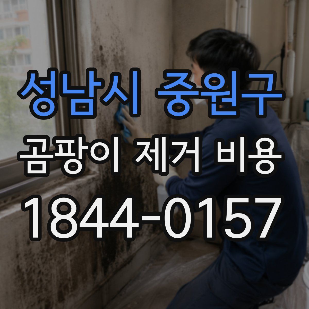 성남시 중원구 곰팡이 제거 비용