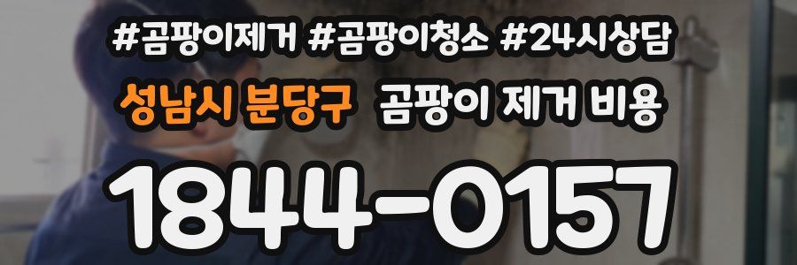 성남시 분당구 곰팡이 제거 비용